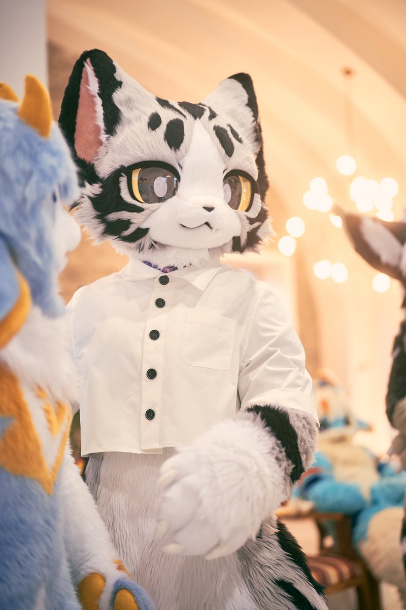 喵喵~
#FursuitFriday #fursuit #起司猫