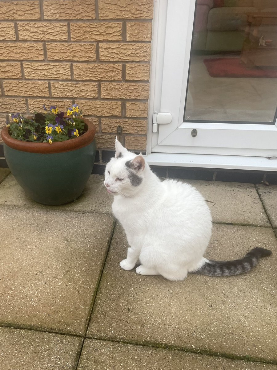 🌈Boris and 🌈Romeo Furkinson tweet media