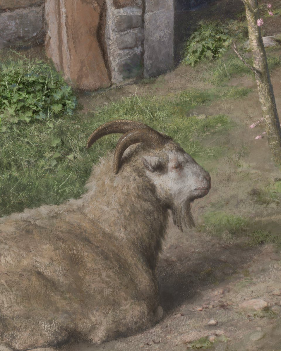 GM

The software I used / the Art I made