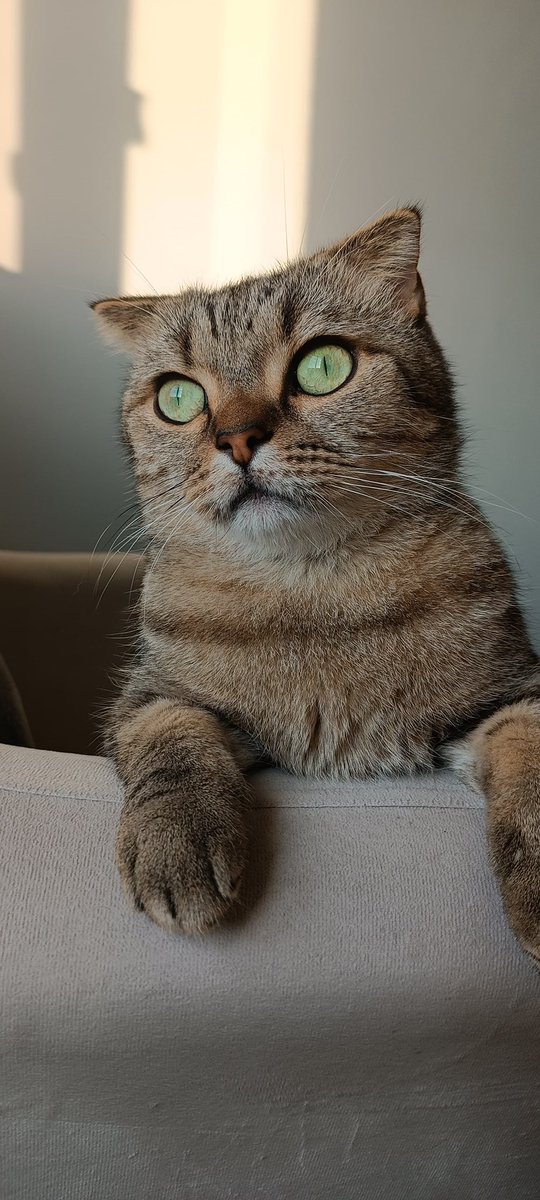 Nasıl yuva yok bana ????????