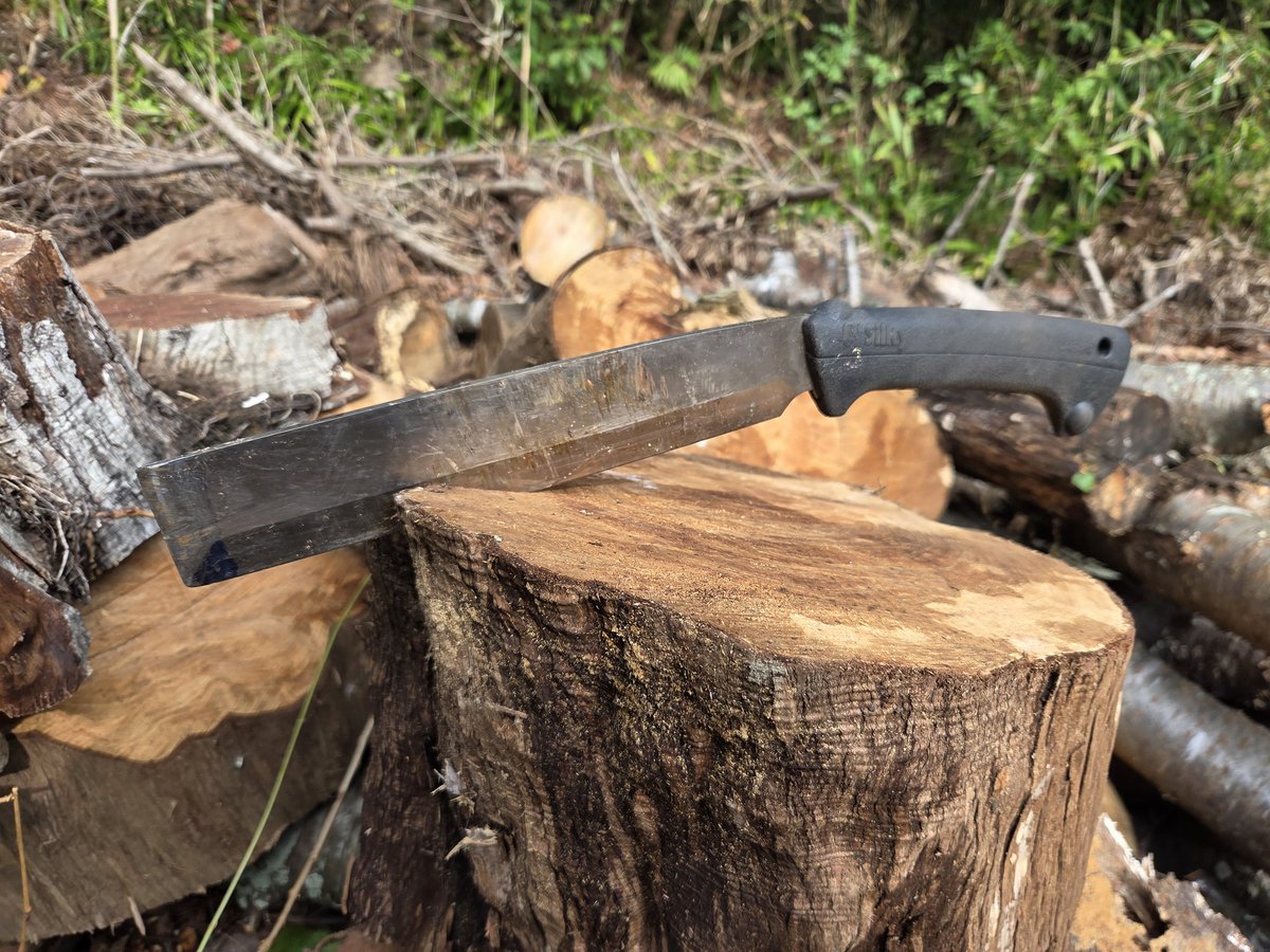 ゴリラ (@GTS929) / Posts / X