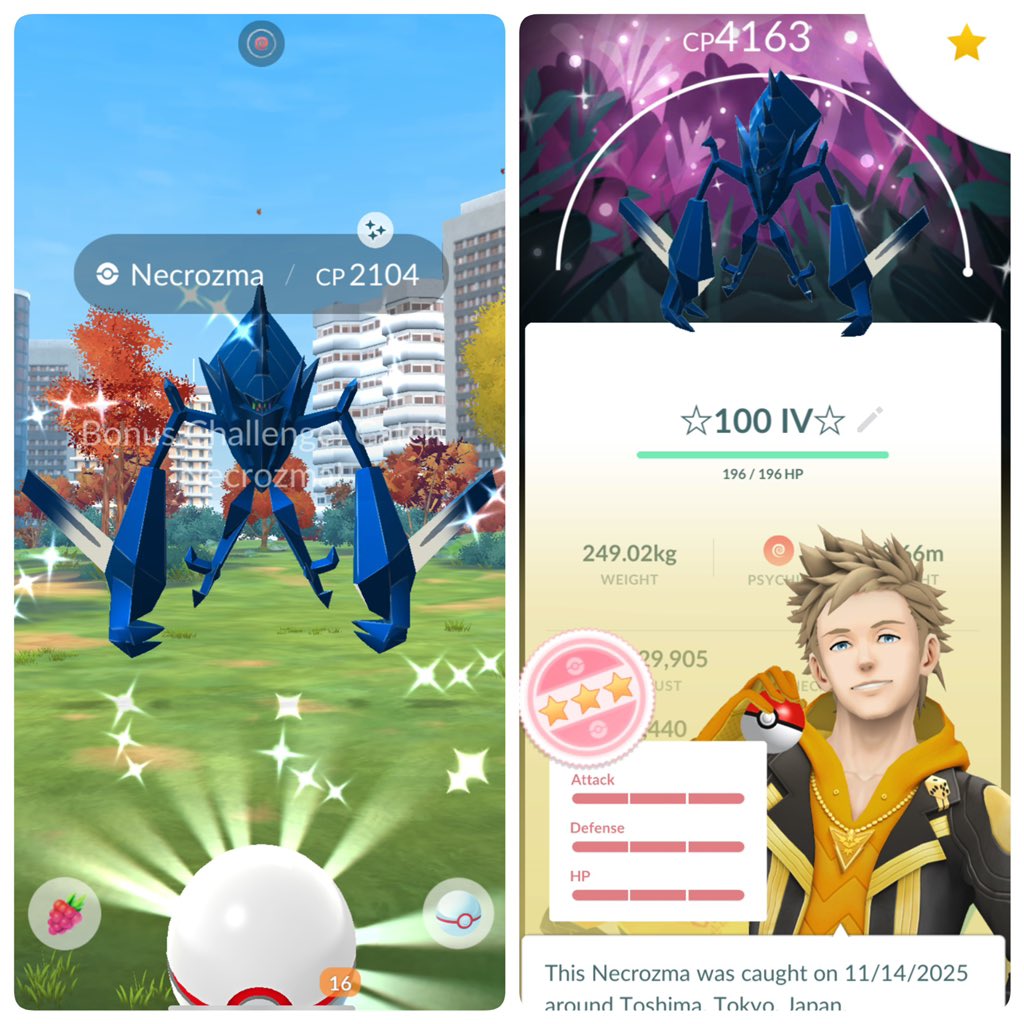 heyitzRio tweet media