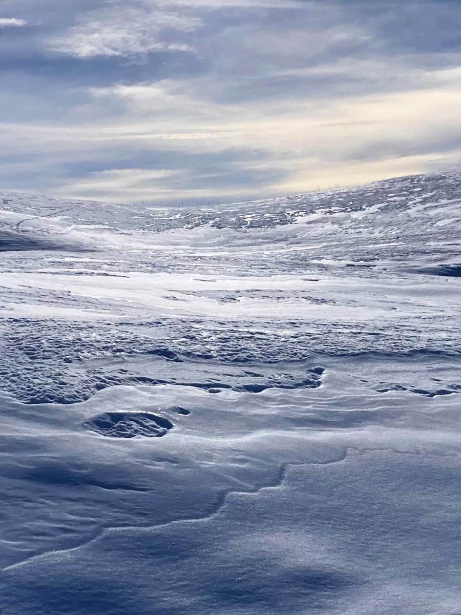 Comme petite banquise sur ma petite planète…mi novembre en Beaufortain 🙏
