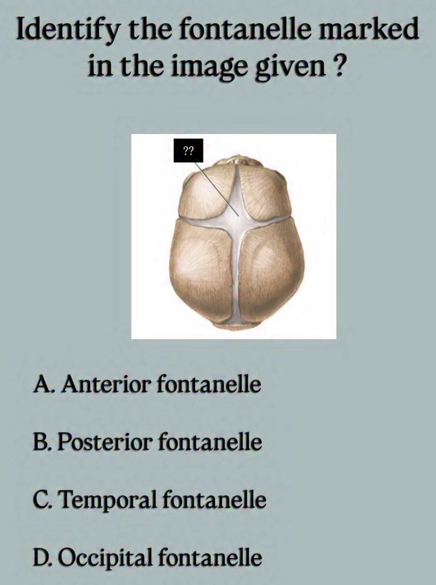 Dr Honey choudhary 🩺 tweet media