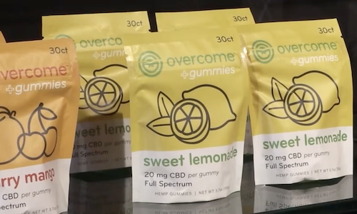 KET Public Affairs tweet media