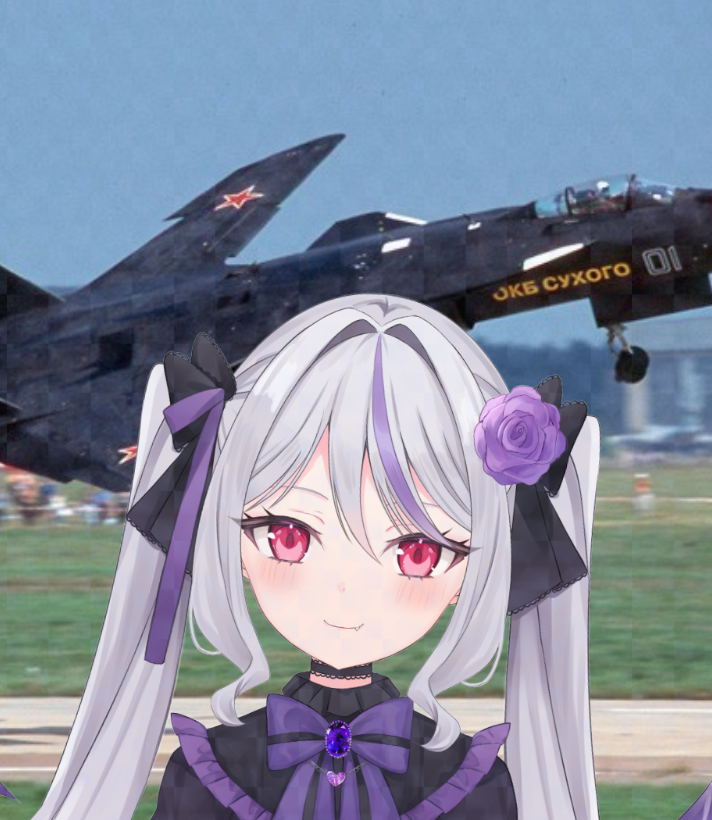 sansyoku_sumire's tweet photo. あんまり知らない戦闘機ですが、Su47を見たときはロマンを感じました
#新人Vtuber #新人Vtuberさんと繋がりたい #Su47 https://t.co/RSQXeAokUQ