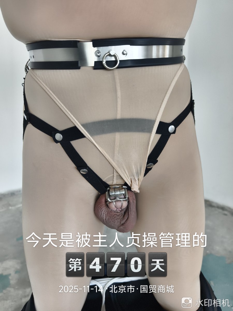 感谢主人严格管理