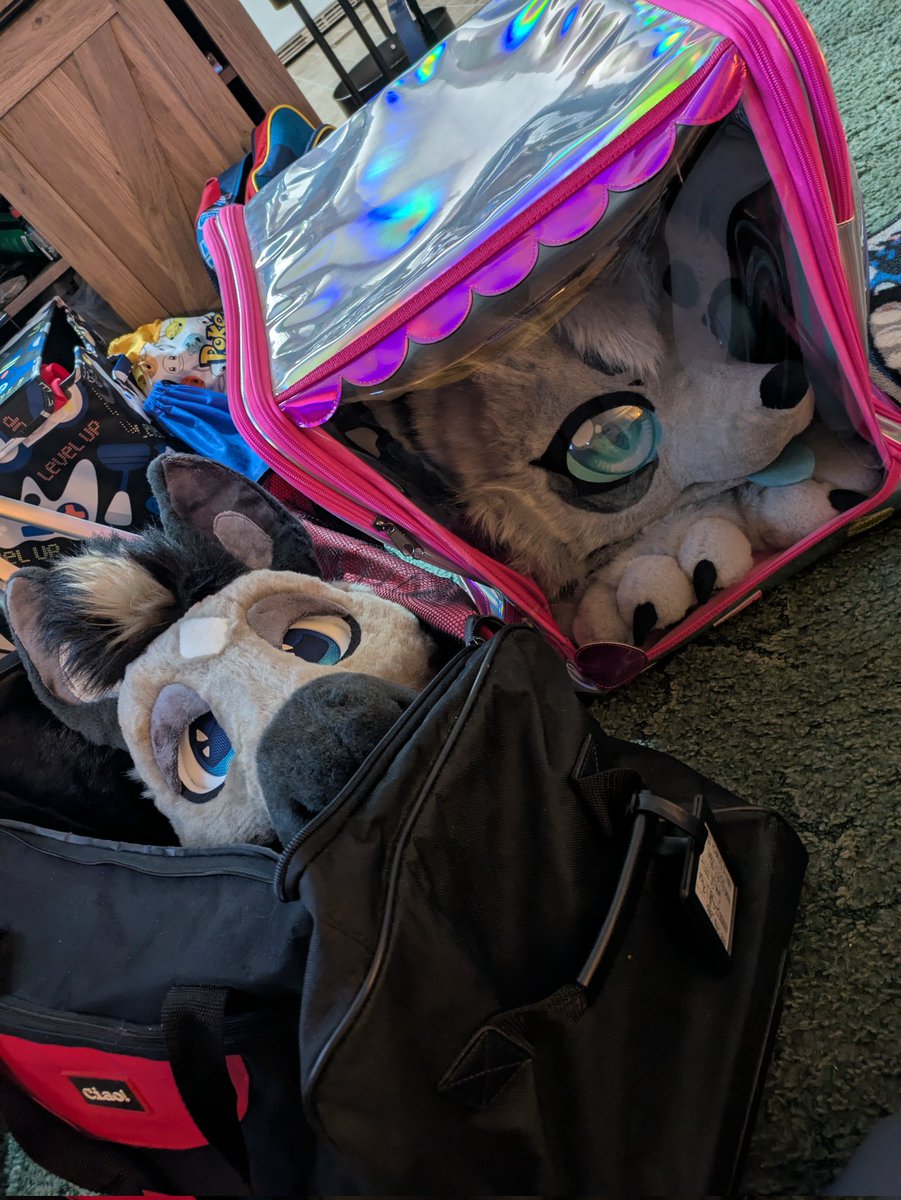 Nikki, my friend's suit spent the night at my house for some minor repairs. Now both her and Clay will be ready for Renfaire tomorrow 💖💖