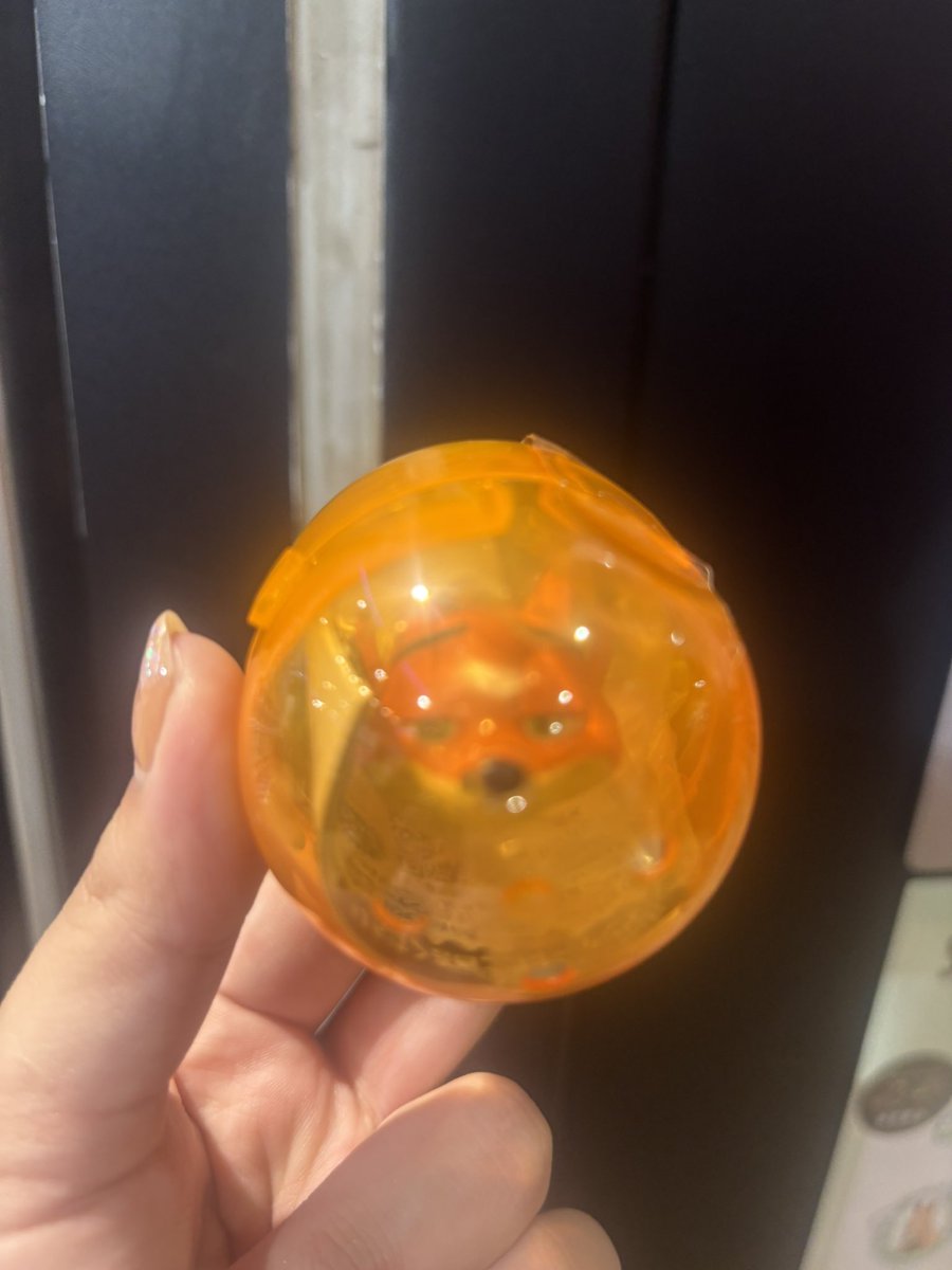 mugimugi_____7's tweet photo. 【交換】
ディズニー ズートピア リング ガチャガチャ　ガチャ

譲：ニック
求：ニック 幼少期

都内手渡し>郵送の交換希望です。
検索からでもお気軽にお声がけください🙇🏻‍♀️ https://t.co/5zOwLJALrN