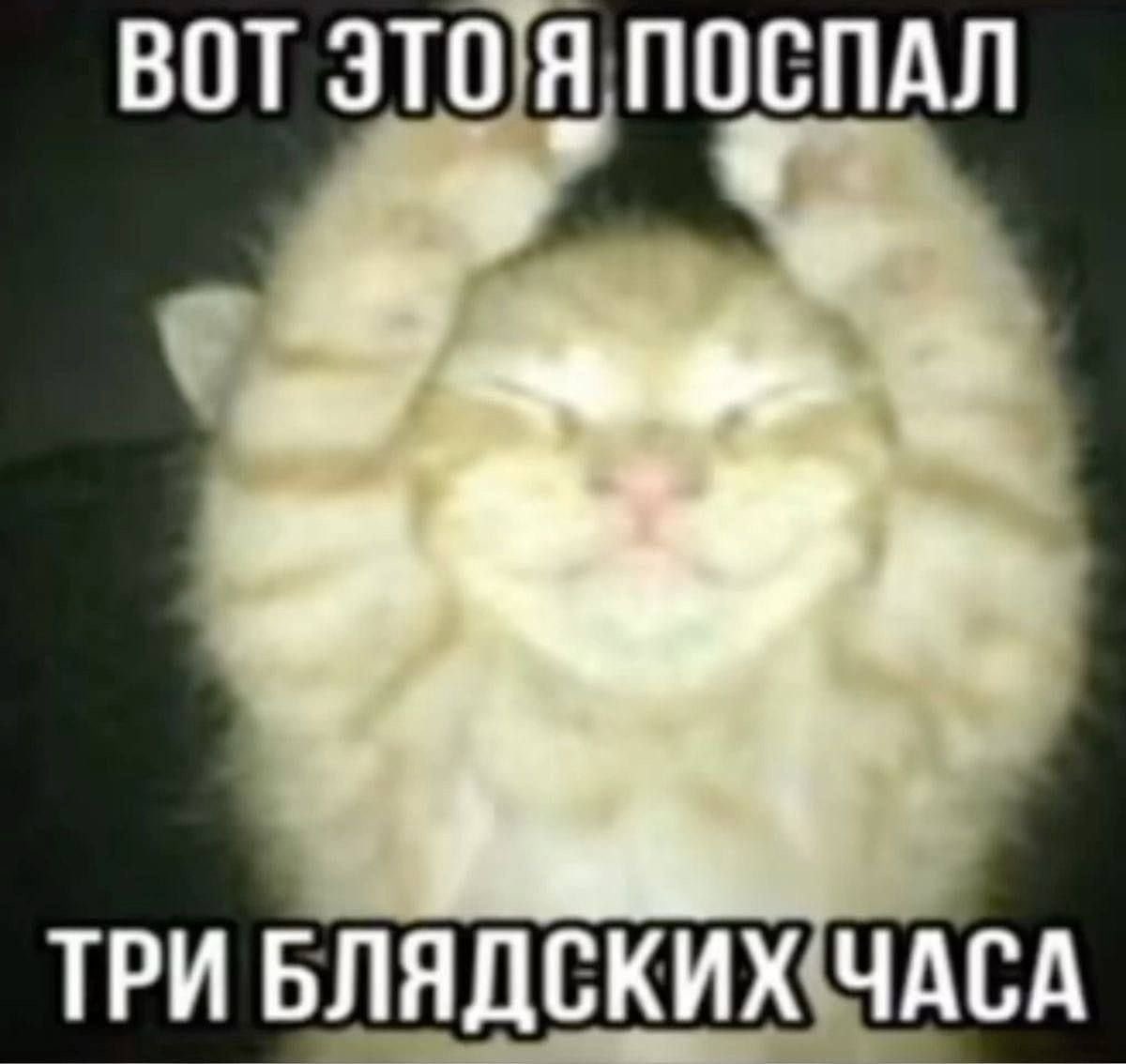 gemi_softy's tweet photo. https://t.co/S34vnfiM1q