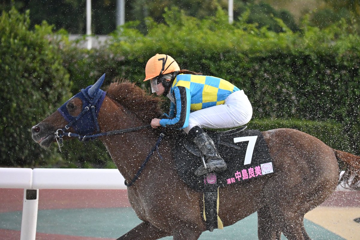 一期一会 (@EKE3lLiS4brY0C5) / Posts / X