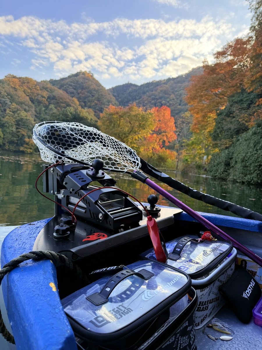 murasaki tweet media