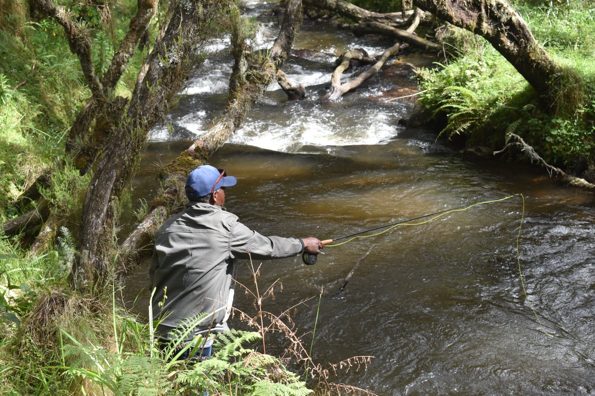 Aberdare Cottages & Fishing Lodge tweet media