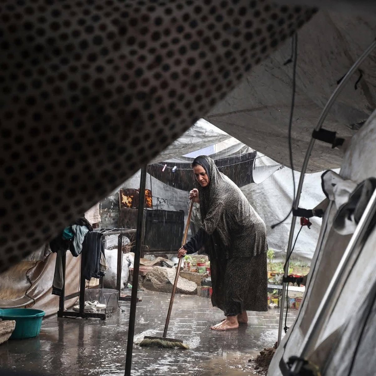 Basem_gaza1988's tweet image. واللهِ يا أمّي، لو اضطررتُ أن أستظلَّ بخيمةٍ من صنع الشيطان، لكان أهون عليّ من أن أراكِ تحت سياط المطر عاجزٌ غضبان !!!!