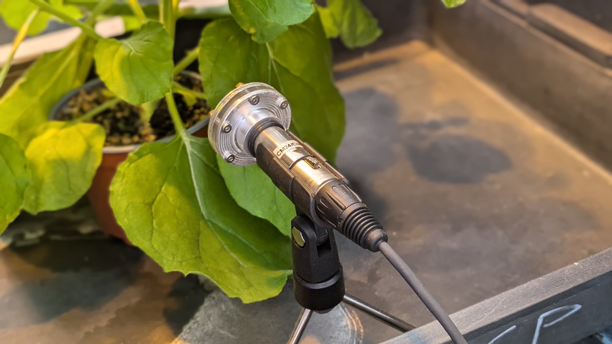 Plant Ultrasound Atlas @puaproject.bsky.social tweet media