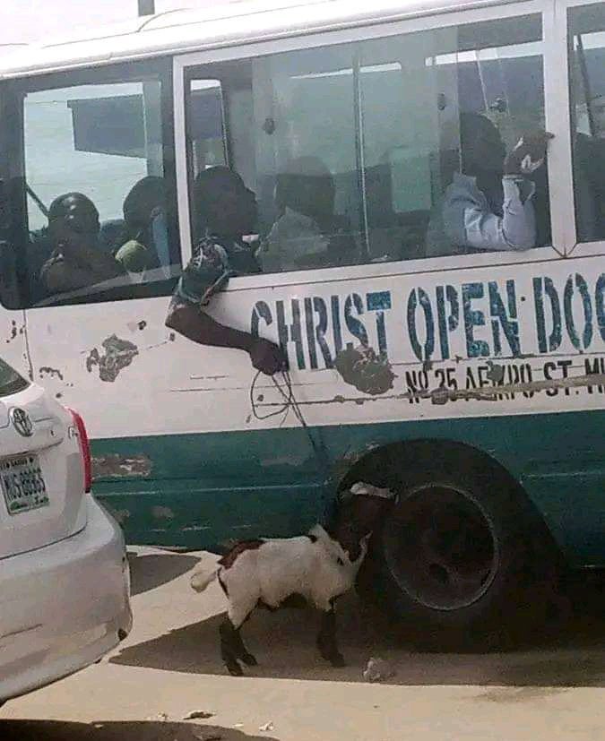 Ahmed___khaan's tweet image. How Cybersecurity mentors carry mentees along, You are on your own if you don’t want to move fast.