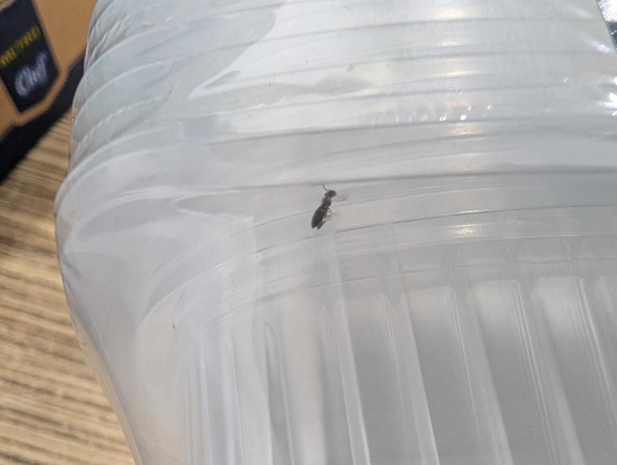 Disruption tweet media