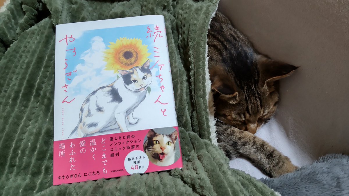 ミケちゃん (@ojm52811) / Posts / X