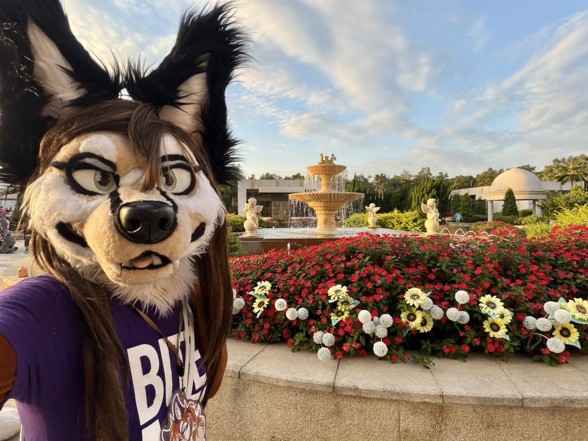 Magnifique jardin! 美麗🌺
#Infurnity2025 
#FursuitFriday