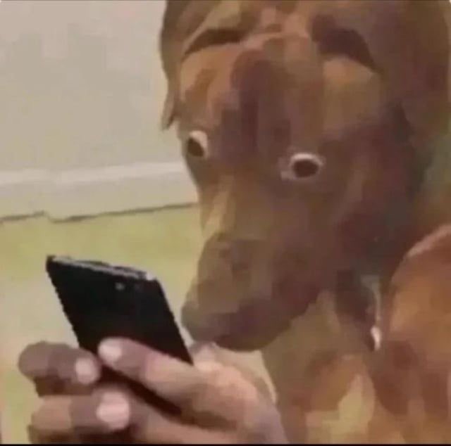 me when calum started speaking poetry in my ear during im scared ill never sleep again: