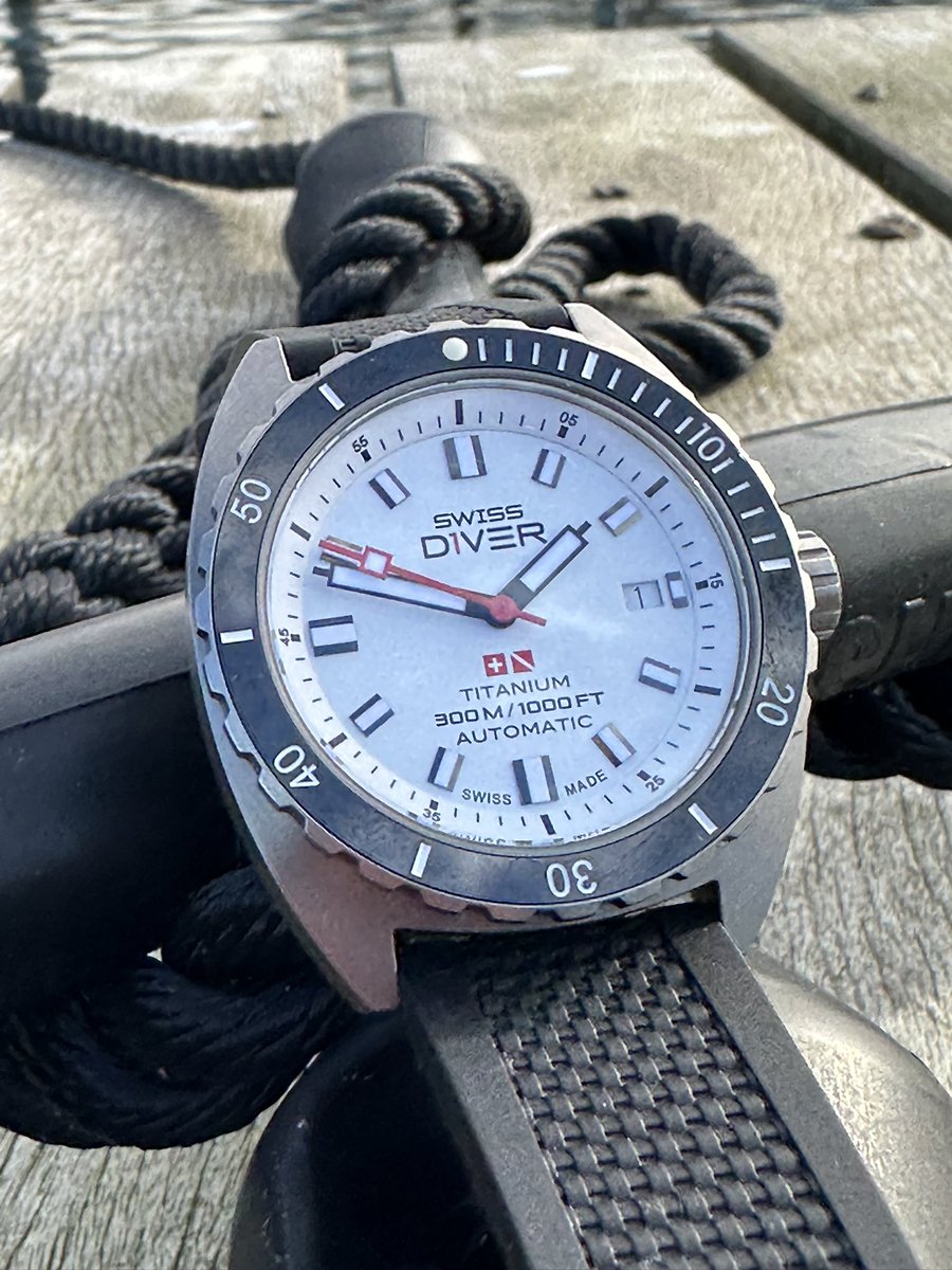 Swiss D1VER Watch tweet media