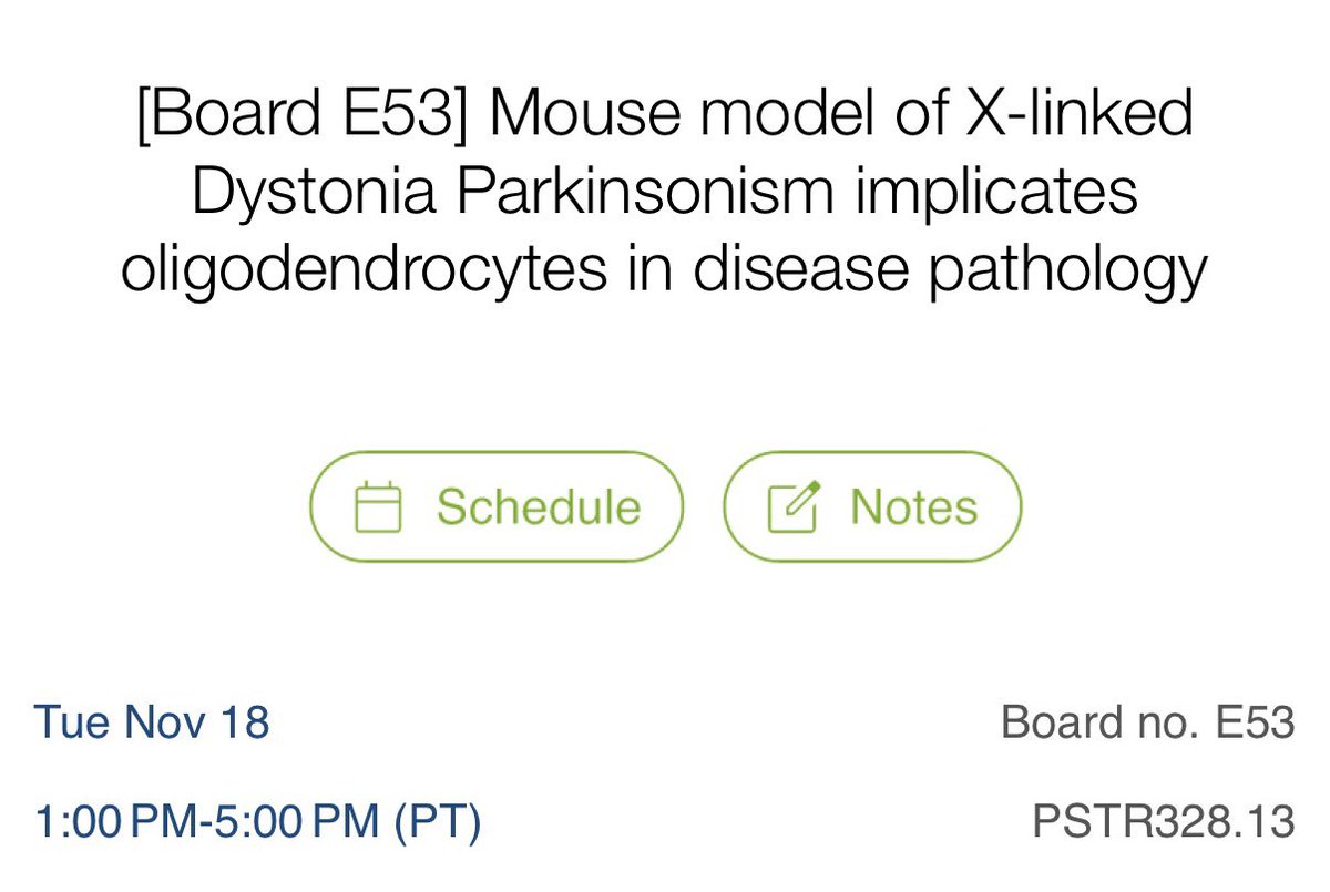 pryprk's tweet photo. Heading to #SfN25? Stop by our poster on Tuesday, Nov 18! We (Kerry @KerryLimberg and I) will be presenting our work on oligodendrocyte dysfunction in X-linked Dystonia Parkinsonism! @SfNtweets #SfN2025 #Neuroscience2025 #RareDisease https://t.co/8EXeKkRSO1