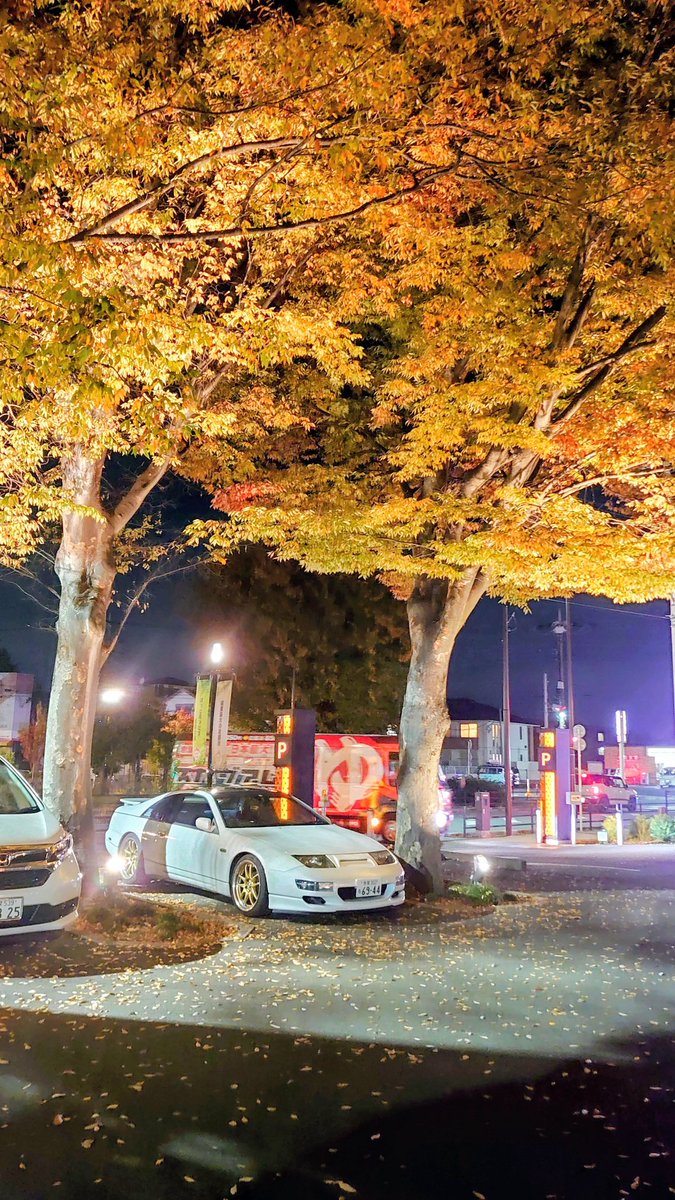 Post by 魔王Ryota on X: 綺麗な葉だ…