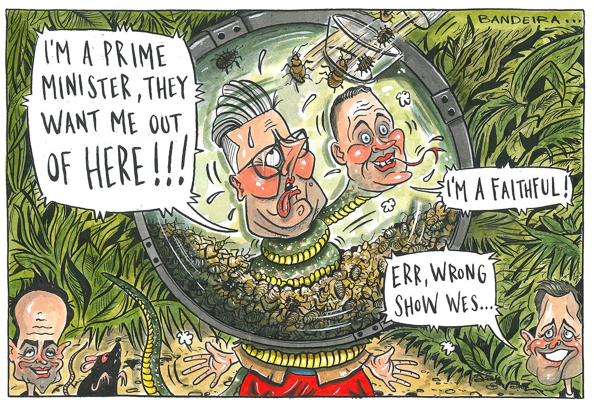 RUMBLE IN THE JUNGLE!

Starmer on trial this week as Traitors-style plotting goes on behind the scenes! Here's today's <a href="/NorthernAgenda_/">The Northern Agenda</a> cartoon