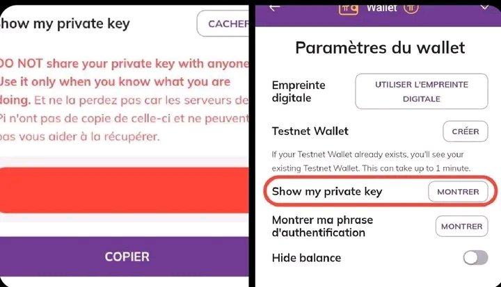 PiNetwork_info's tweet image. The private key update signifies the system&apos;s preparedness for interoperability and smart contracts, advancing unmistakably toward full decentralization. By not storing your key, Pi&apos;s servers ensure that your wallet remains under your exclusive control.🔥🚀

#PiNetwork
#PiPayment
