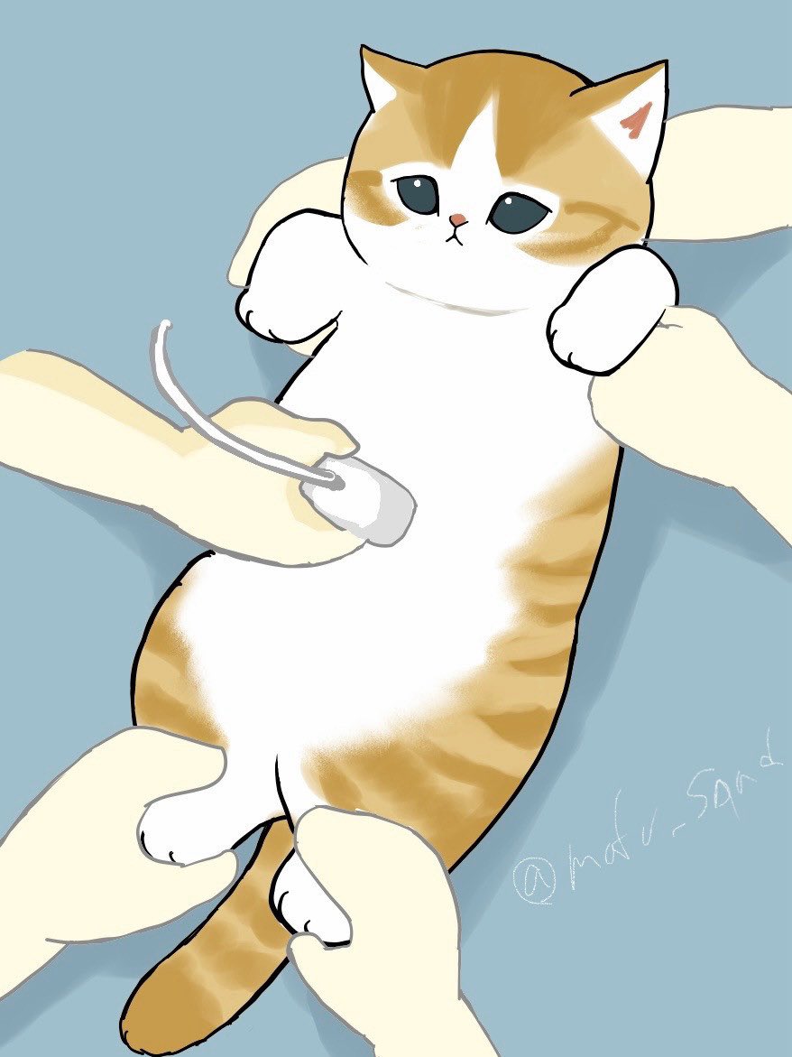 しぃちゃん (@shihan11035481) / Posts / X