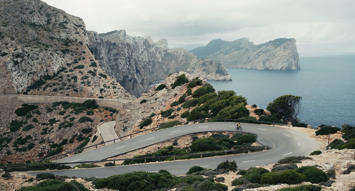 Kai Bauer tweet media