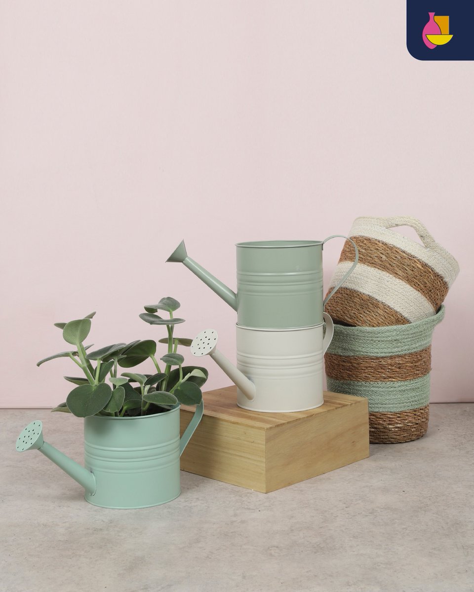 Window Sale! Zinc watering cans &amp; matching baskets in green &amp; white tones. Perfect for plants and fresh décor styling. Limited stock – once gone, gone! #WindowSale #BunnikCreations
