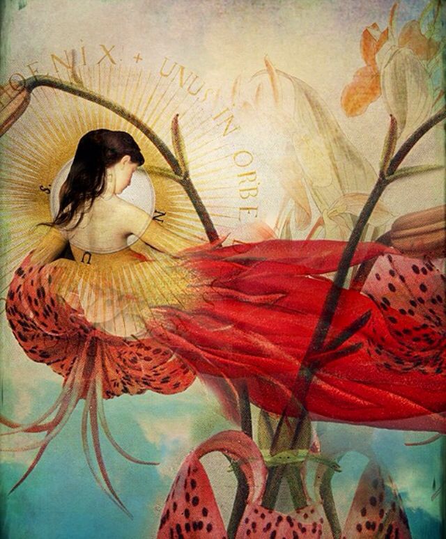 DelyonFrida's tweet photo. Healing isn’t about becoming invulnerable. It’s about remembering that your vulnerability is not a threat, but a threshold into connection, into wholeness, into being fully alive. https://t.co/ZrD1nIlfdr