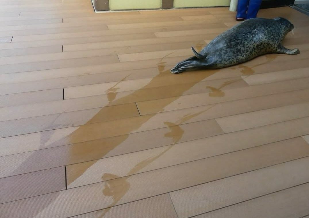 God Of Self tweet media