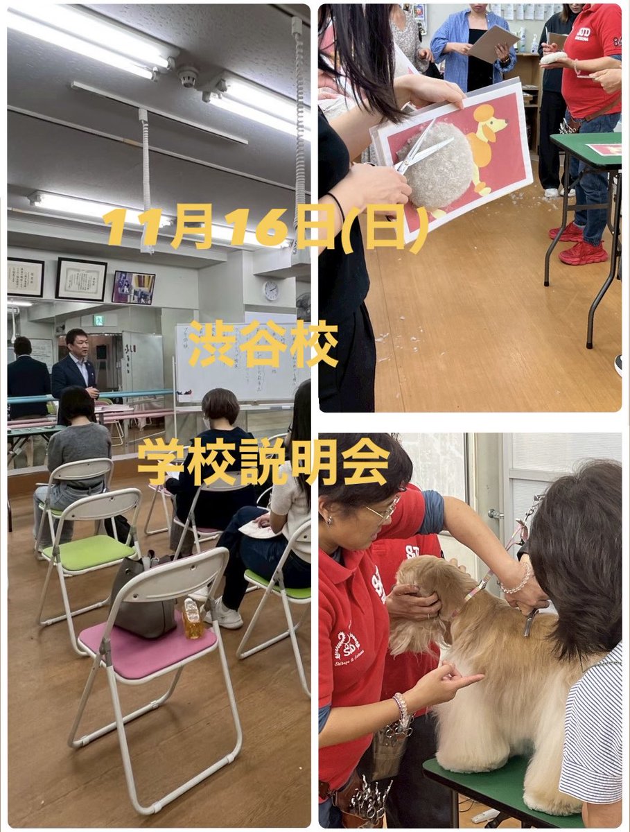 SJD_DOG's tweet photo. 渋谷校

11月16日(日)説明会があります⭐️

どんな学校なのかを詳しくお話ししています。

ここでしかできない体験もありますので、ぜひお越しください☺️

13:30スタート
予約は不要です。 https://t.co/nTyVZw3ROt