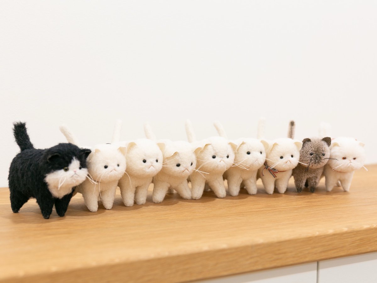 作家 澤田クマ制作所 ネコ テディベア 作家 澤田クマ制作所 ネコ テディベア - メルカリ