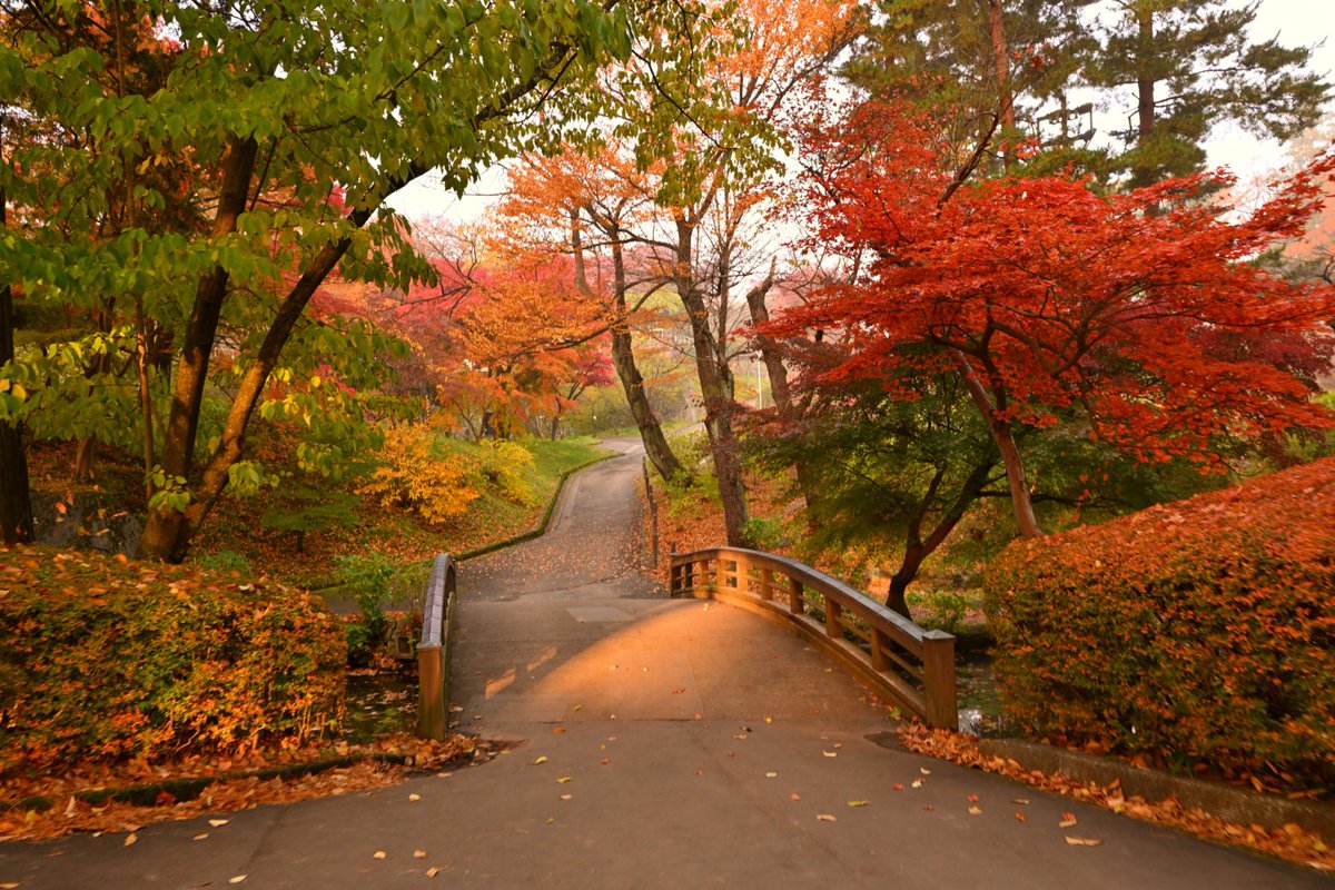 chageki's tweet image. 早朝の盛岡城跡公園歩きました。 plaza.rakuten.co.jp/shigekimb0515/… #r_blog 　＃盛岡　#岩手