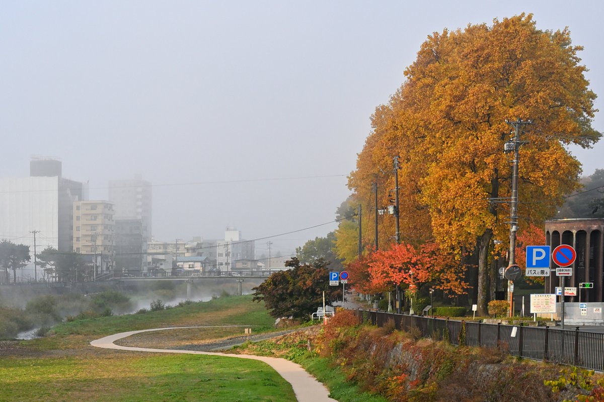 chageki's tweet image. 早朝の盛岡城跡公園歩きました。 plaza.rakuten.co.jp/shigekimb0515/… #r_blog 　＃盛岡　#岩手