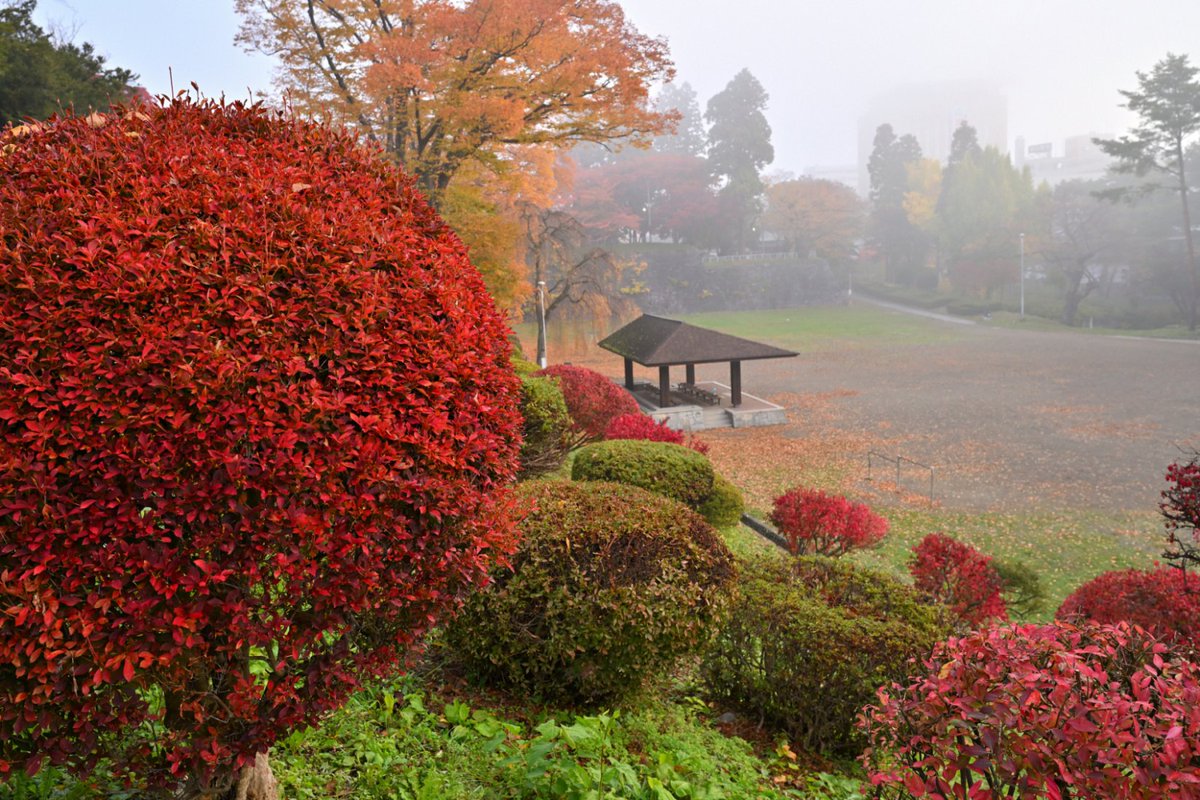 chageki's tweet image. 早朝の盛岡城跡公園歩きました。 plaza.rakuten.co.jp/shigekimb0515/… #r_blog 　＃盛岡　#岩手