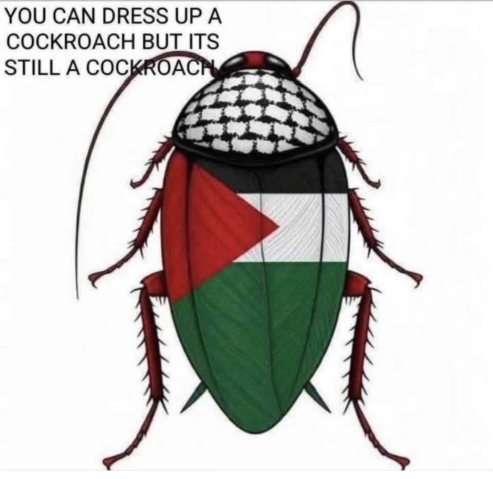 No_Drama_Lama_'s tweet image. A whole bunch just landed in South Africa 🙄🤬