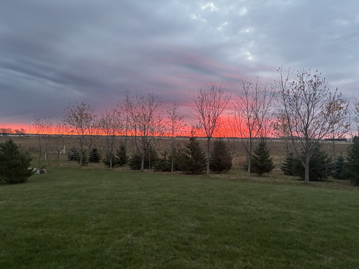 There is just something about a sunrise. Colouring a blank canvas on a brand new day:)