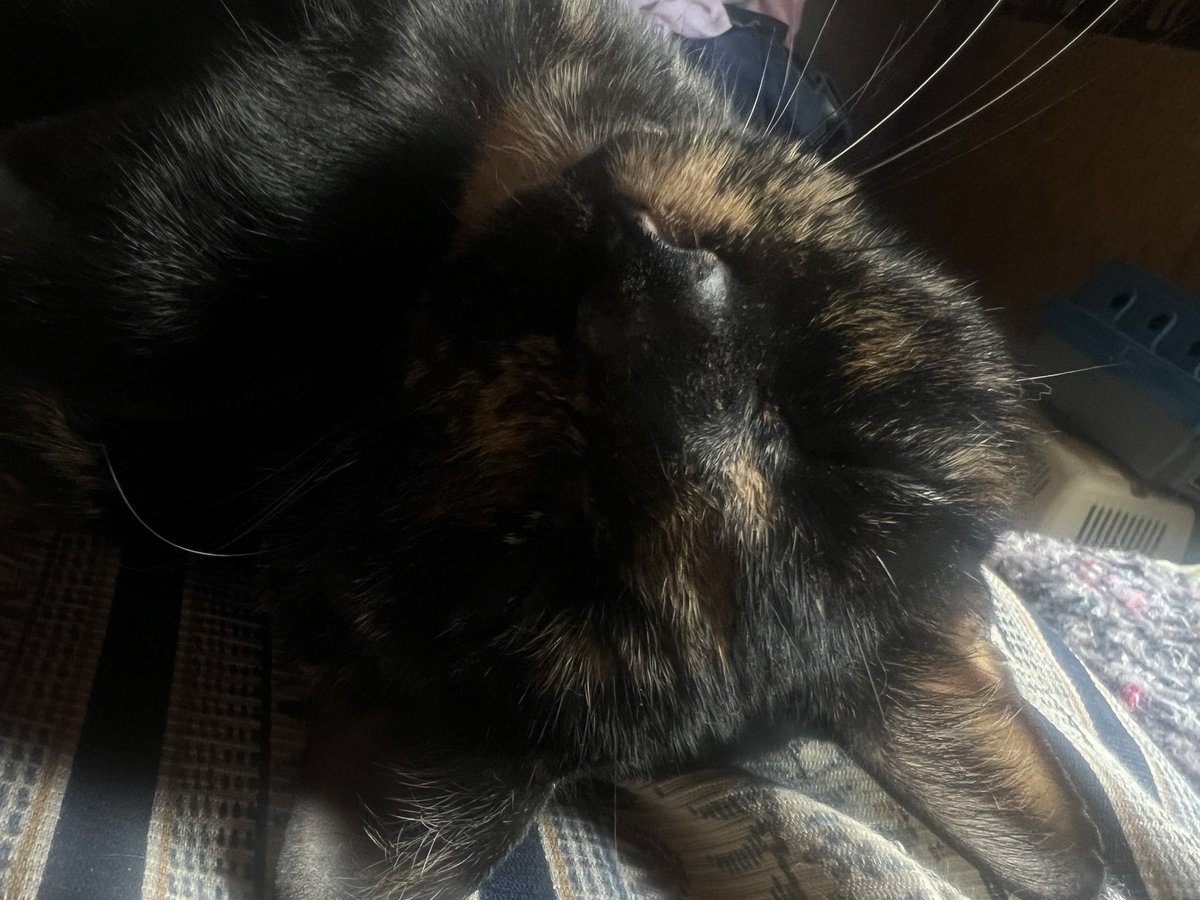 luish_go's tweet image. 