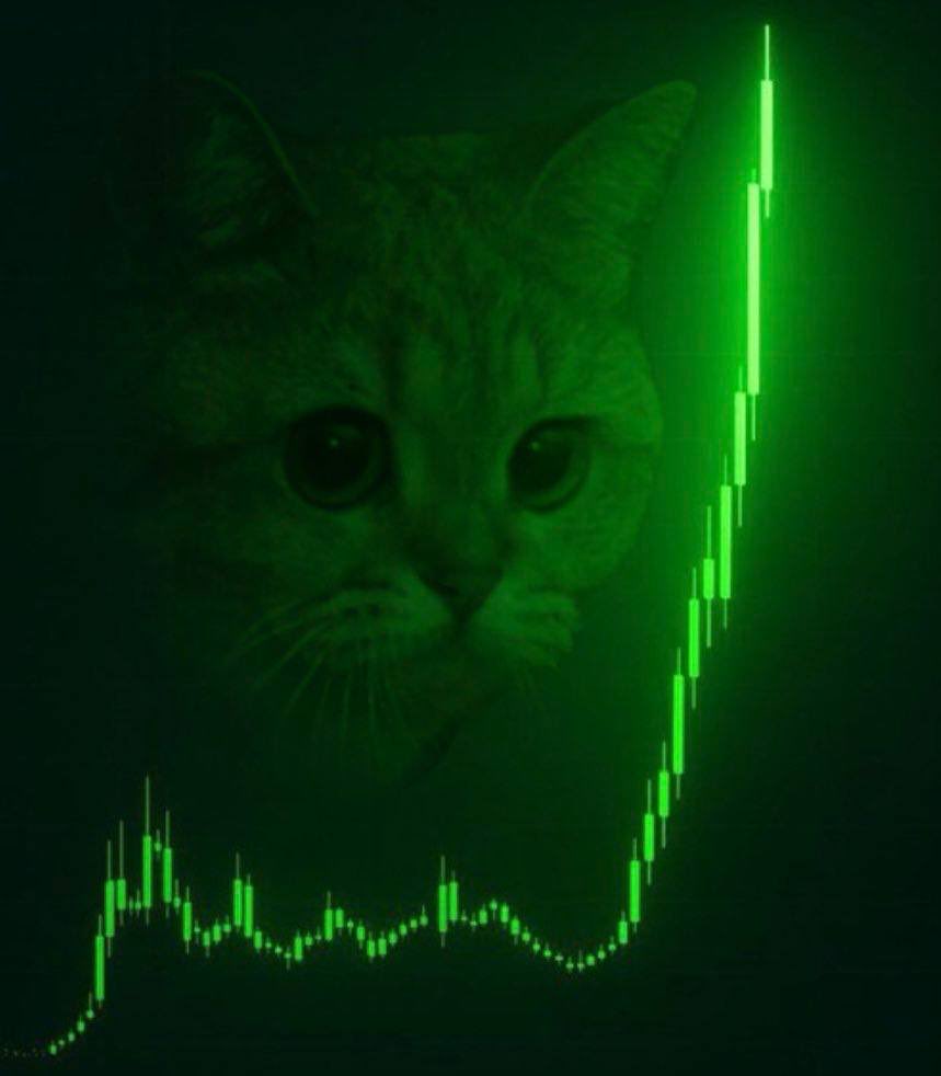 <a href="/Starecat4chan/">Starecat</a> Brick by brick.