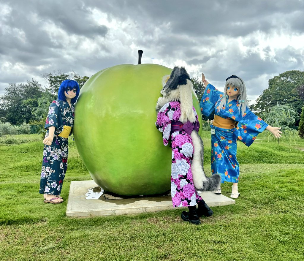 コメリンゴページです。 2025年産9月発送 贈答用つがる10kg【青森県 平川市 そと川りんご園】9