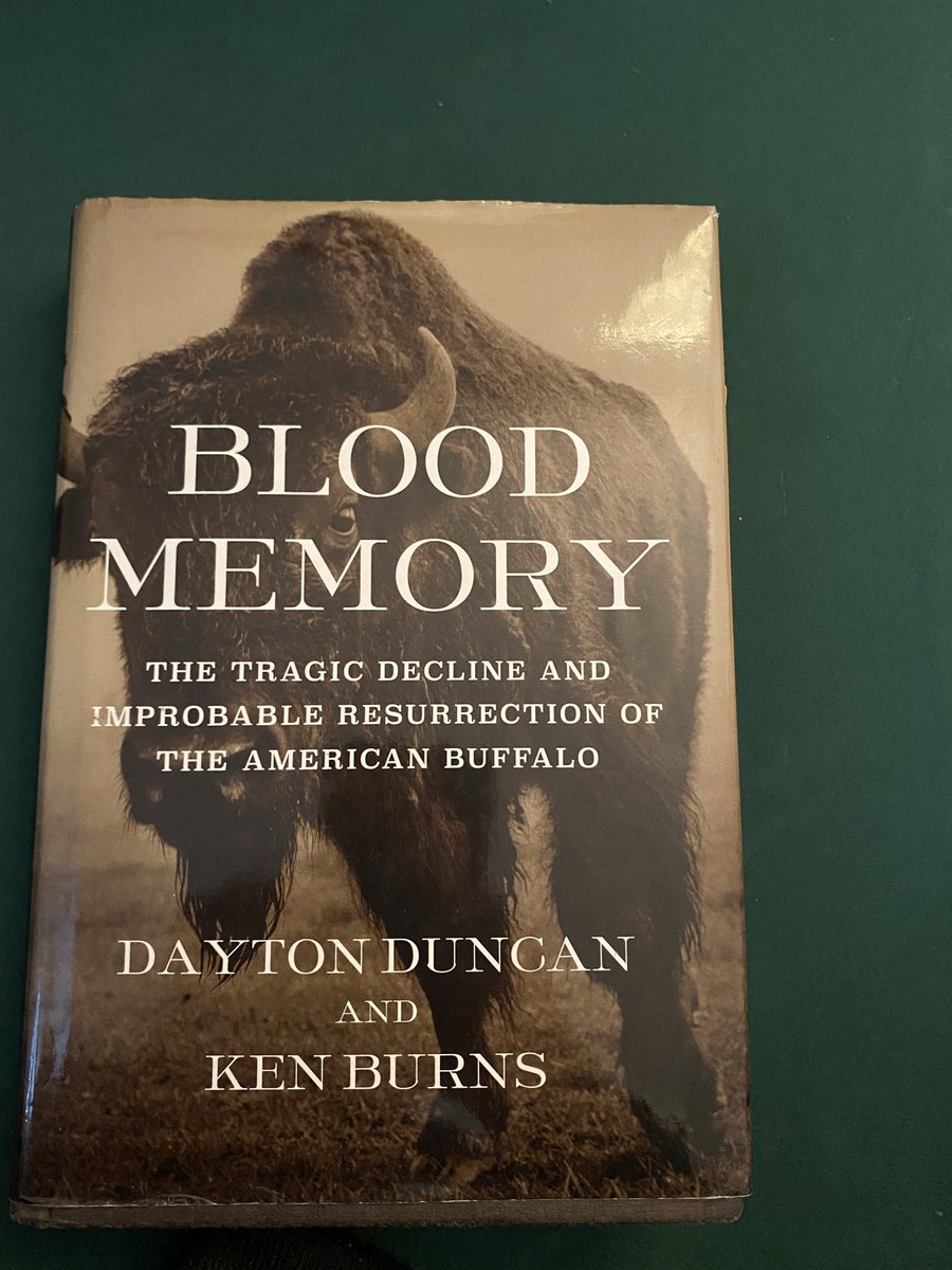 WotaBota's tweet image. The whooly niggas never forget ❤️✨.  #Bloodmemory