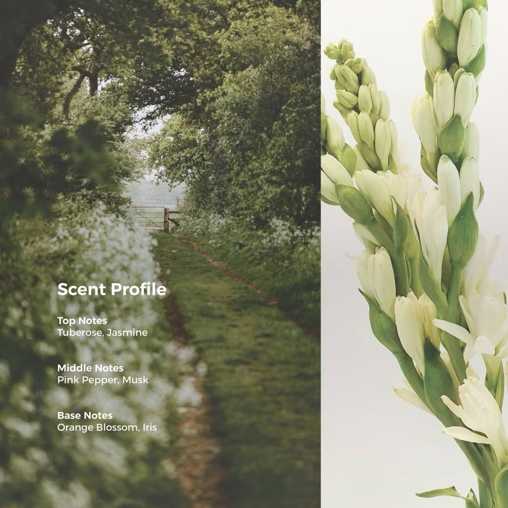 nanaspineapel's tweet photo. Dari first sniff aja langsung kerasa wangi white floralnya yang rich, fresh dan super elegant! openingnya berasa kayak nyium buket bunga putih yang masih fresh banget.

Pas udah dry down, wanginya jadi lebih ngeblend, muncul sentuhan musk yang soft & powdery dari iris yang bikin wanginya lebih smooth & mature tapi masih ada floralnya.
