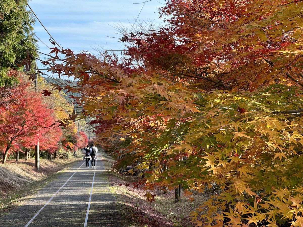 F10号です。碓氷峠で発見した、紅葉。特注額です。 F10号です。碓氷峠