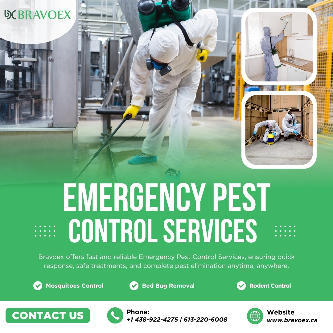 bravoexca's tweet image. 🐀 Need Emergency Pest Control? We’ve Got You Covered! 🐜🐜

At BravoEx, we provide fast, reliable, and safe pest control services. 
🌐 bravoex.ca
.
#PestControl #EmergencyPestControl #BedBugRemoval #MosquitoControl #RodentControl #BravoEx #PestFree #SafeAndReliable