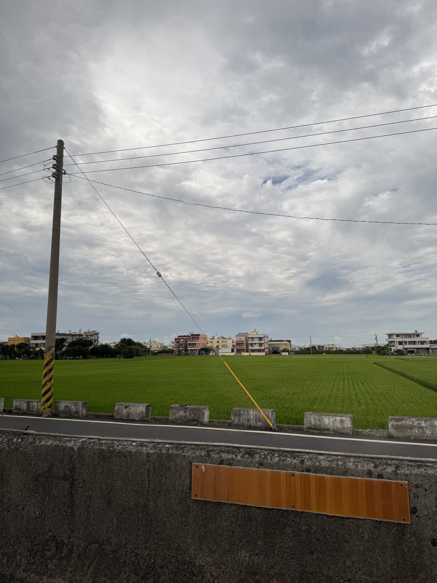 外婆家在都是田的地方
一個鳥都約不到 只能約到公雞 咕咕咕那種🤣

住這裡的人只能吃草 https://t.co/GlEpeKxenR