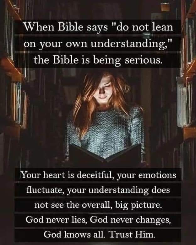 JCRyle's tweet photo. https://t.co/Tqyev965td